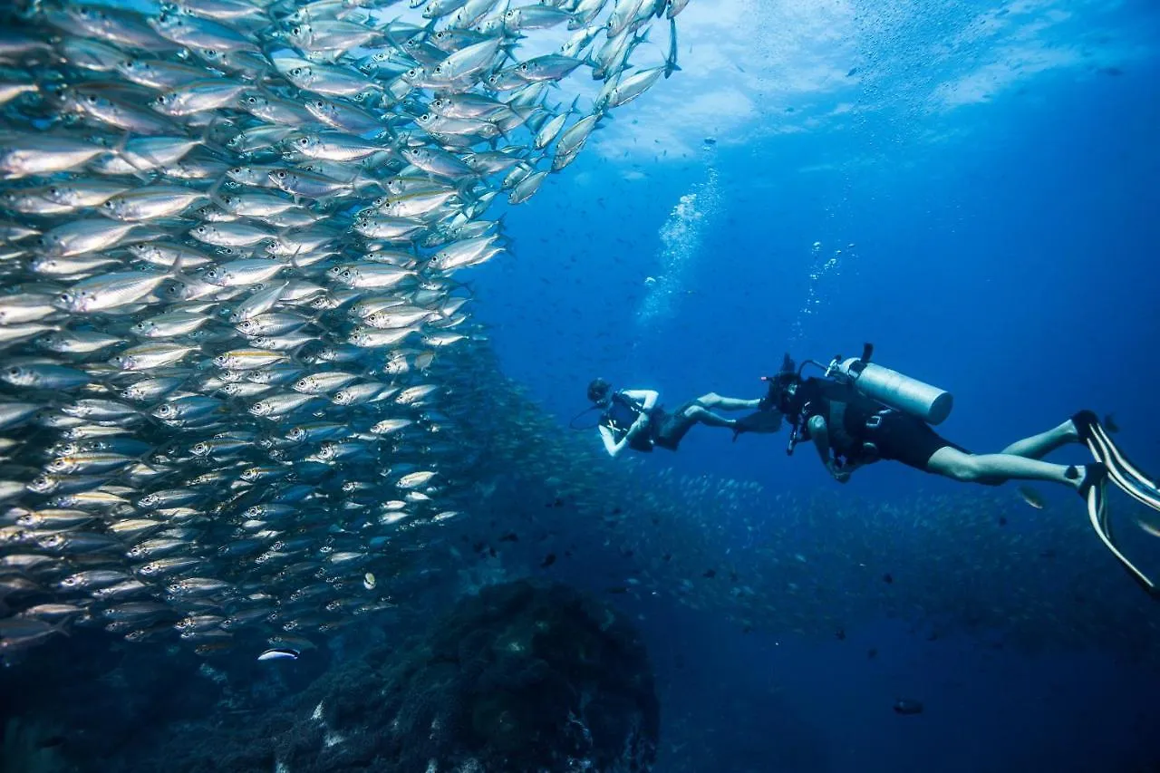 Jamahkiri Dive Resort & Spa Tau-sziget Thaiföld